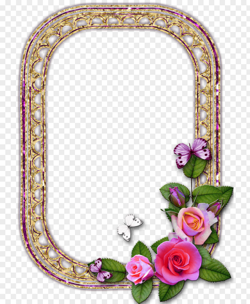 Flower Picture Frames Floral Design Photography PNG