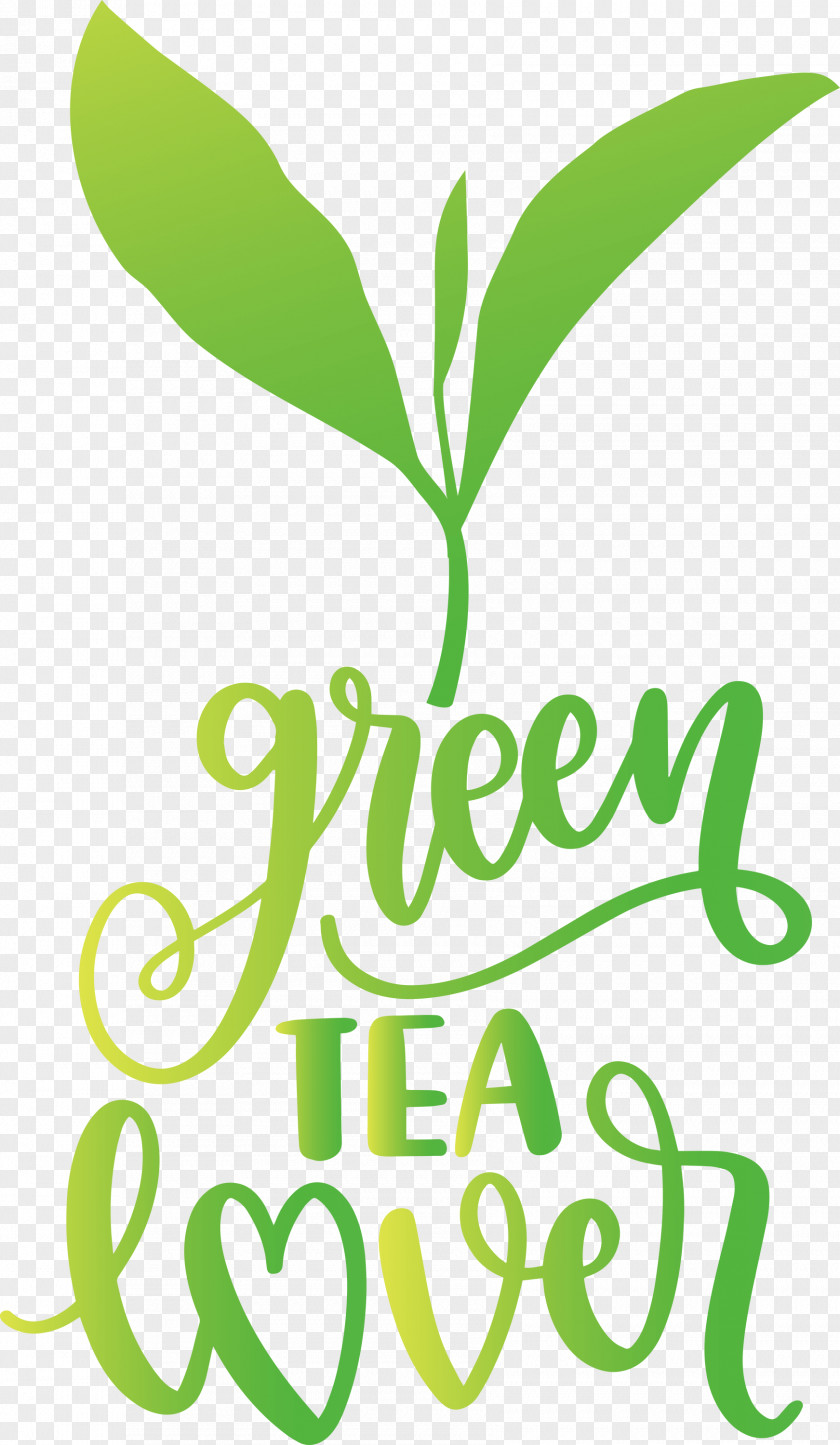 Green Tea Lover PNG