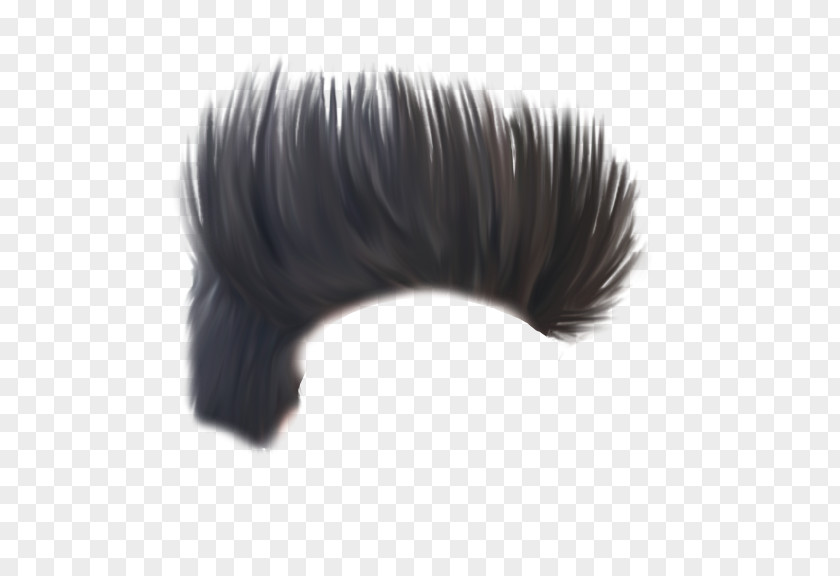 Human Hair Color Hairstyle Brush PNG