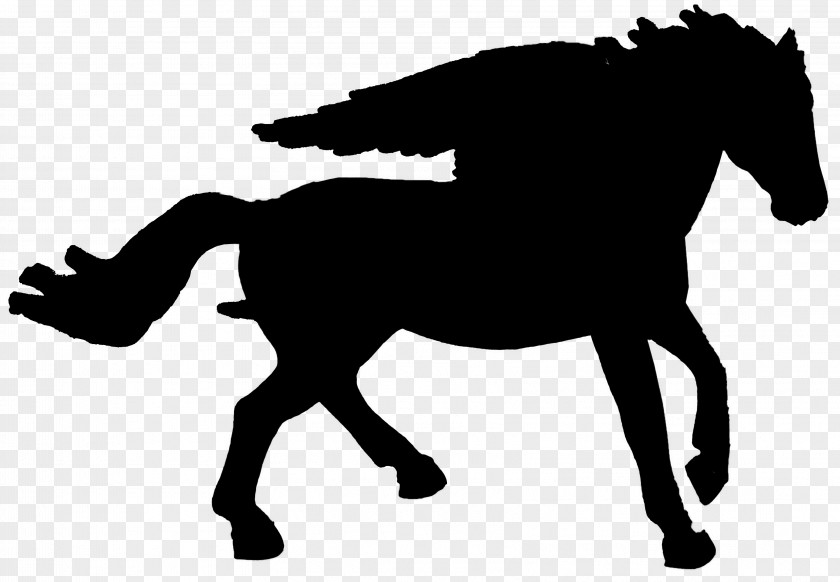 Mustang English Riding Stallion Mane Rein PNG