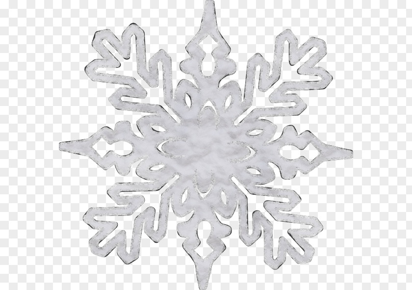 Silver Plant Snowflake PNG