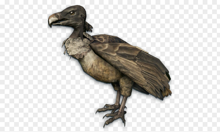 Sniper Bird Far Cry Instincts: Evolution Turkey Vulture PNG