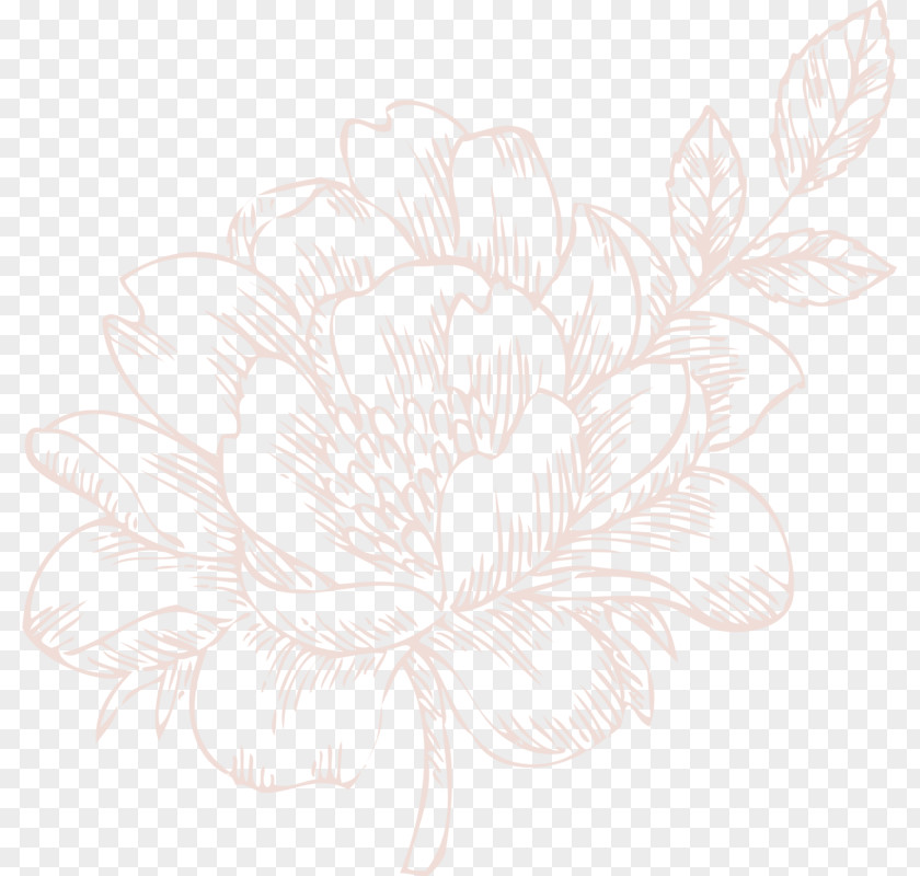 Aberdeen Graphic Floral Design Pattern Wallpaper PNG