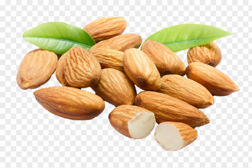 Almond Dried Fruit Cashew Nut PNG