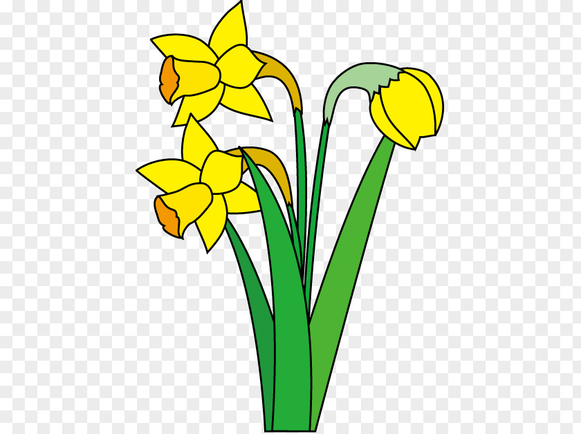 Clip Art Illustration Daffodil Flower Image PNG