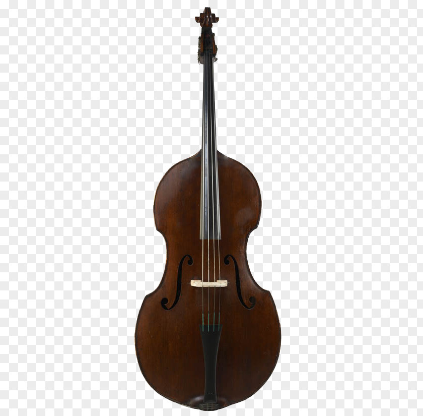 Double Bass Violin Violone Viola Guitar PNG