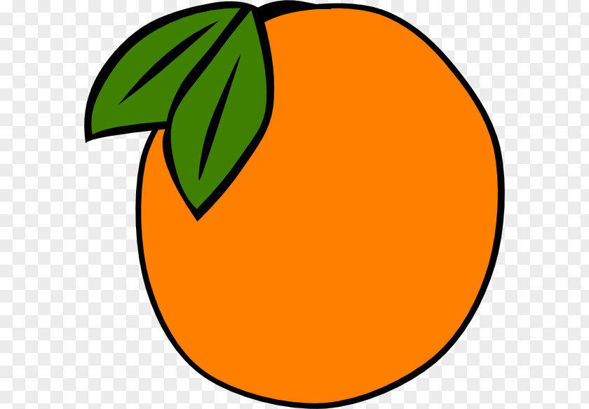 Orange Juice Glass Fruit Clip Art PNG