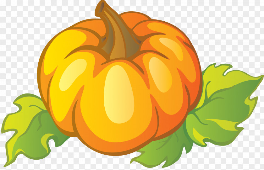 Pumpkin Jack-o'-lantern Calabaza Gourd Clip Art PNG