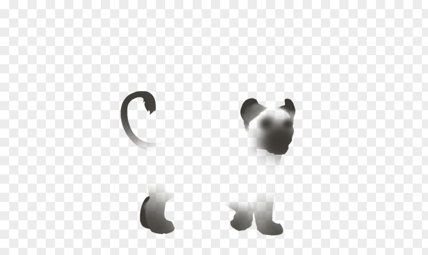 Cat Dog Desktop Wallpaper Body Jewellery PNG