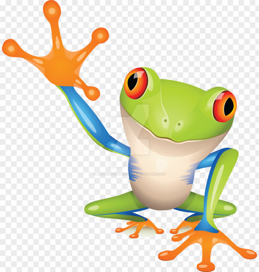 Colourful Frogs Tree Frog True Clip Art Image PNG