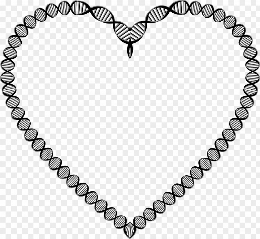 Double Helix Necklace Chain DNA Clip Art PNG