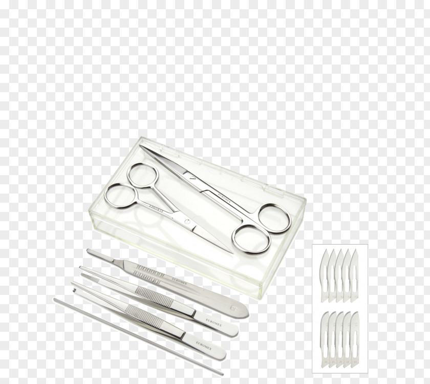 Fish Koi Tool Cutlery PNG