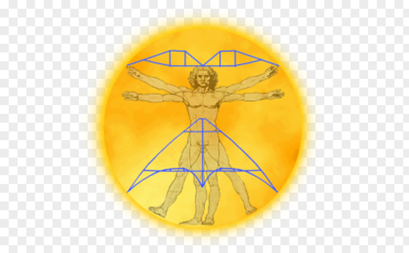 Know How Leonardo Drawings Vitruvian Man Symbol Birthday Da Vinci PNG