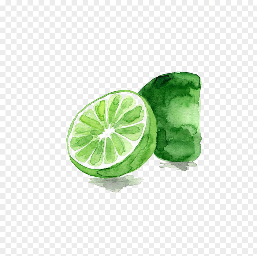 Lime Lemon-lime Drink Watercolor Painting Fruit PNG