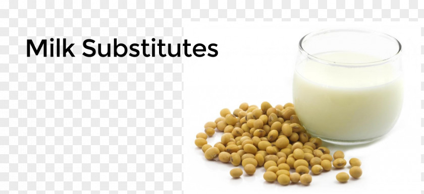 Milk Soy Soybean Substitute Doenjang PNG