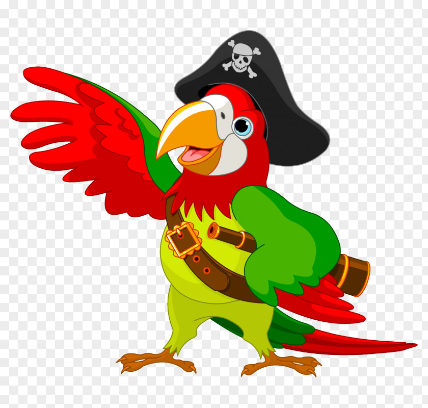 Parrot Pirate Clip Art Image PNG