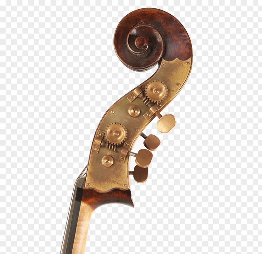 Violin Cello Double Bass Scroll PNG