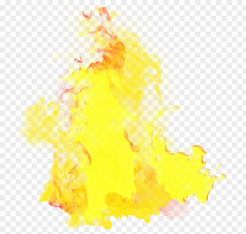 Commercial Elements Fire Sale Flame PNG