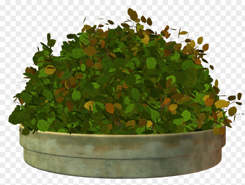 Flower Bed Flowerpot Plant Garden PNG