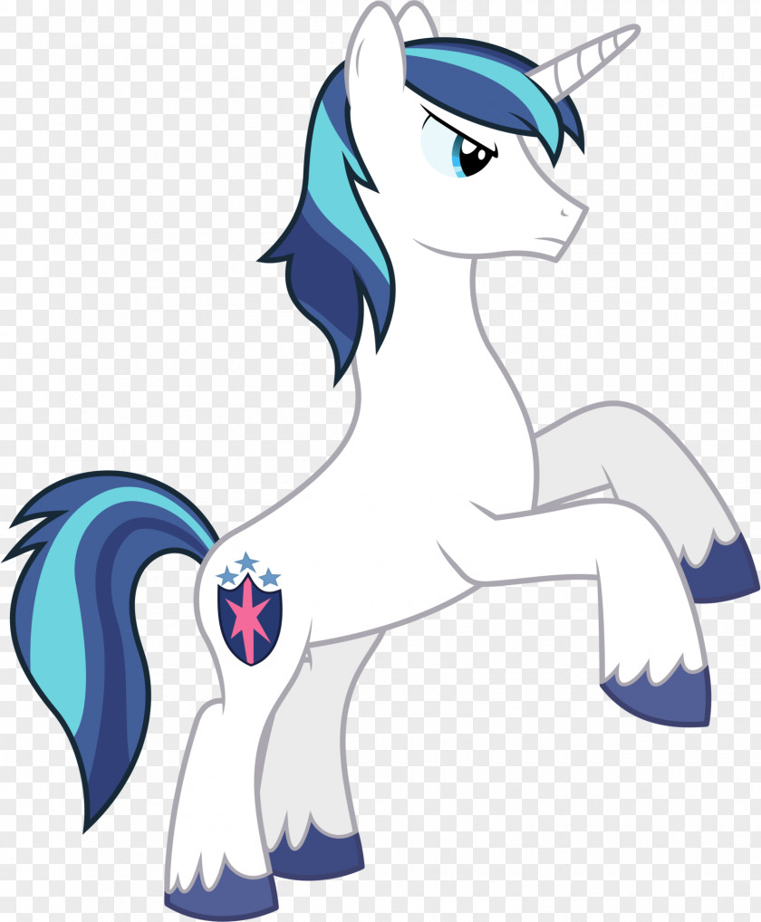 My Little Pony Princess Cadance Rainbow Dash PNG