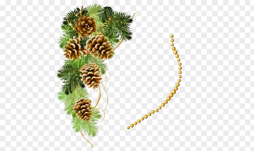 Painting Conifer Cone Drawing Pine Clip Art PNG