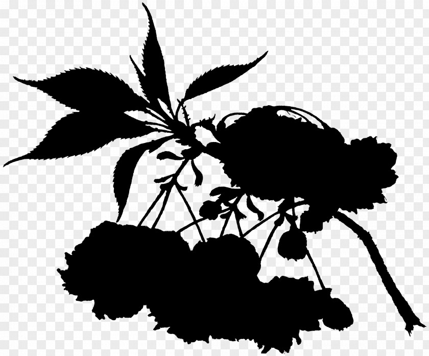 Stencil Twig Black And White Flower PNG