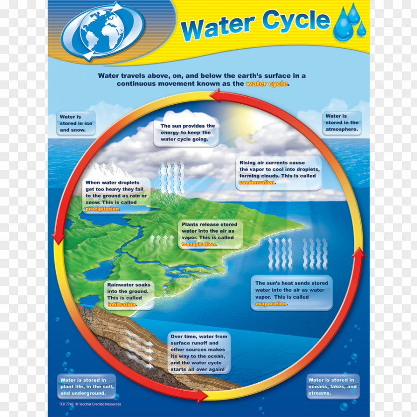 Teacher Water Cycle Chart Resource PNG
