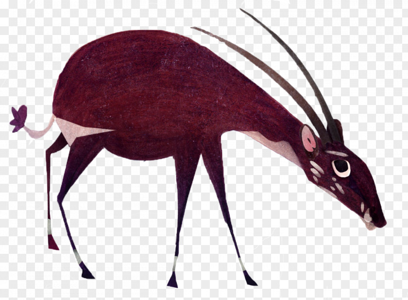 Antelope Illustration Saola Vietnam Endangered Species Animal Drawing PNG