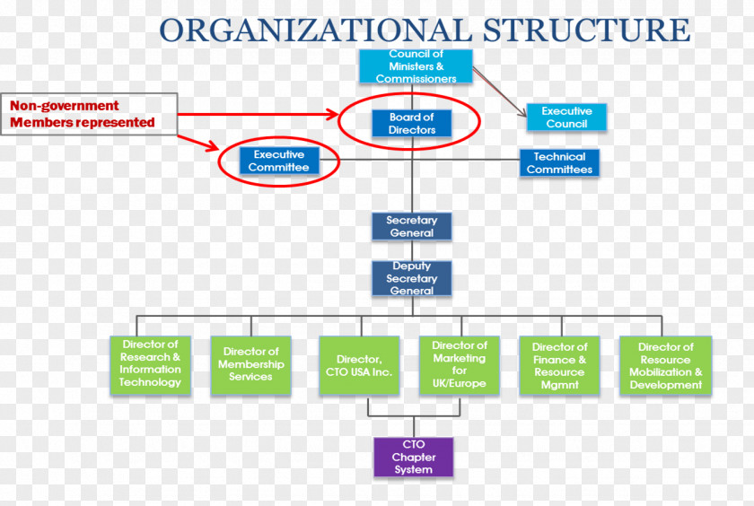 Dotted Line Organizational Chart Board Of Directors Management Chief Technology Officer PNG