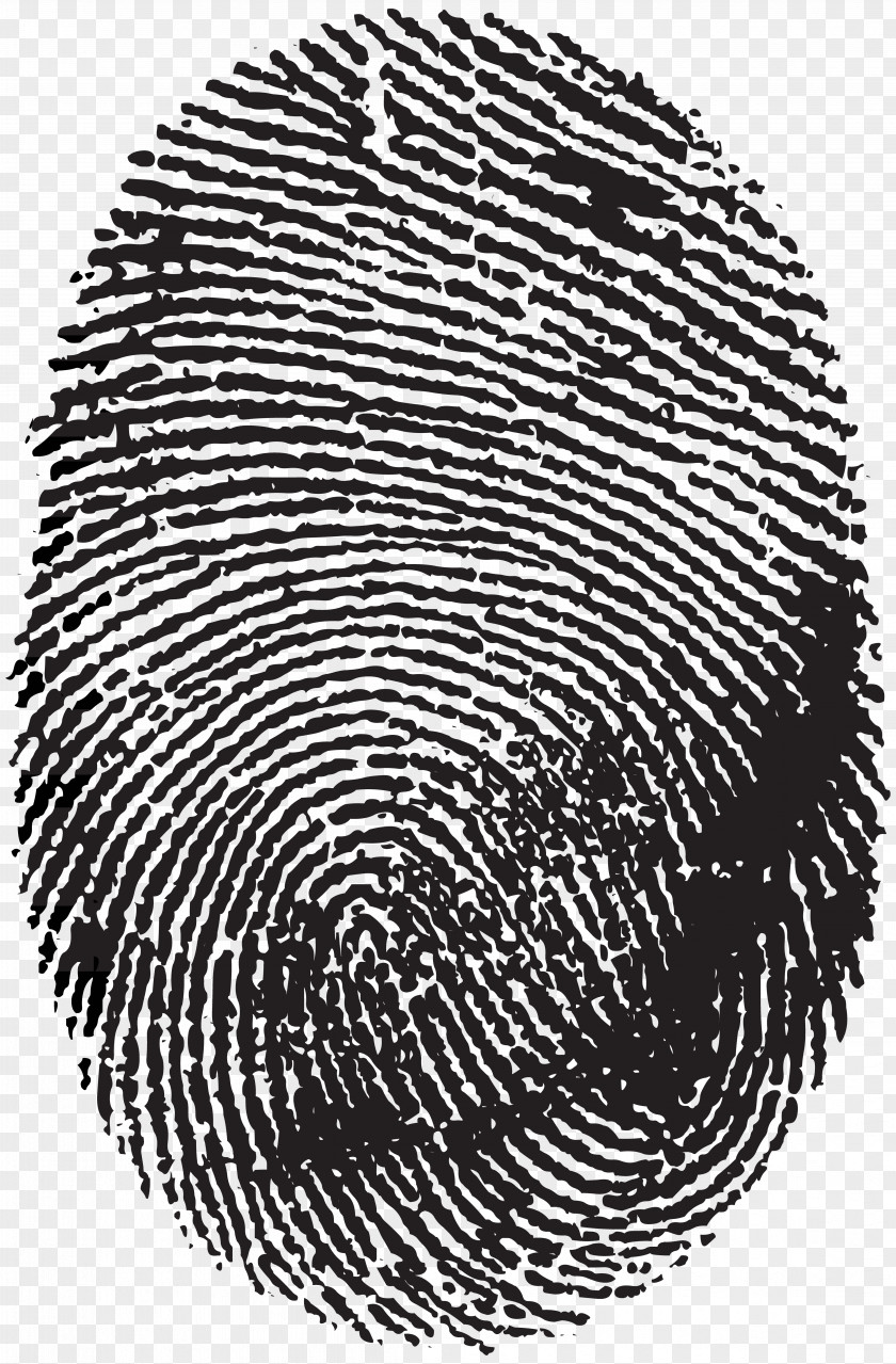 Fingerprint Clip Art Image Scanner No Icon PNG