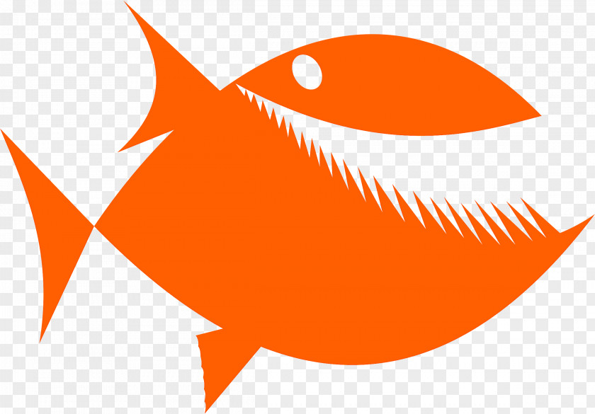 Orange PNG