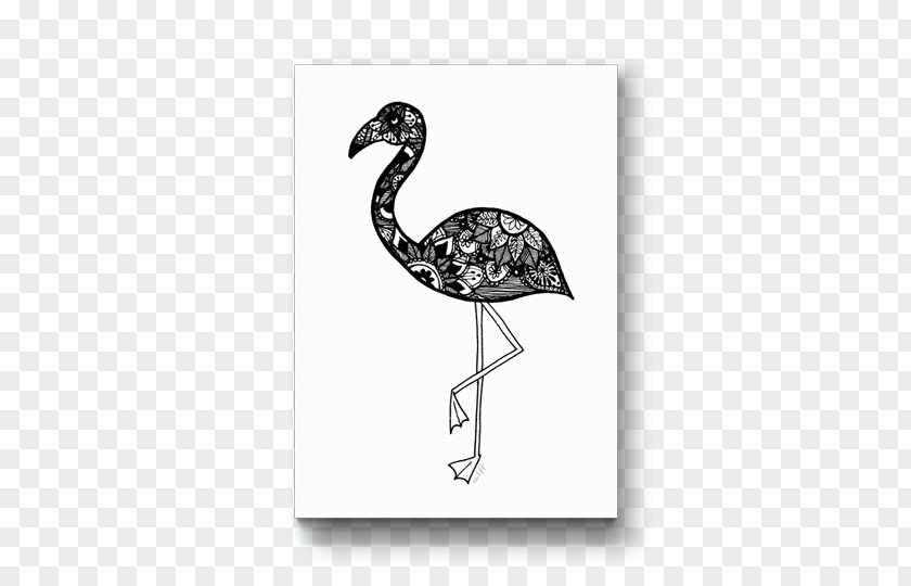 Paper Poster Bird Drawing Beak Fauna /m/02csf PNG
