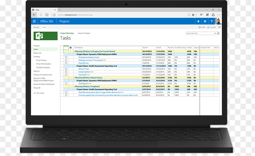 PORTFOLIO Computer Software Microsoft Project Portfolio Management PNG