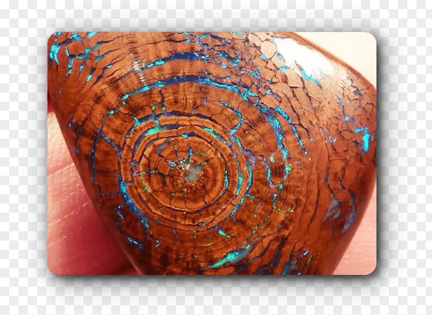Table Opal Petrified Wood Mineral PNG