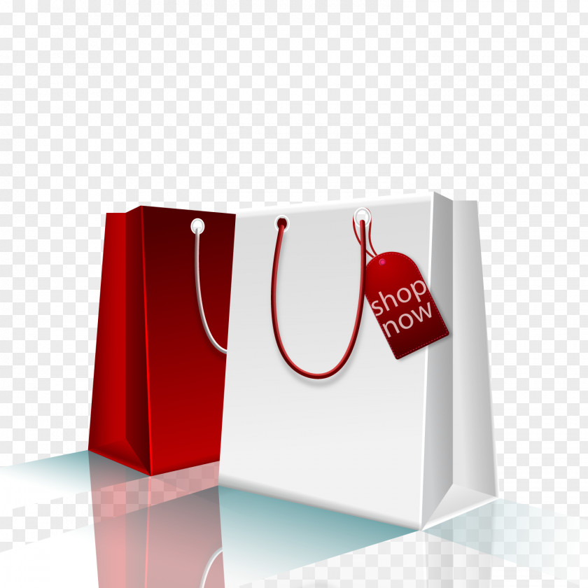 Vector Promotional Bag Shopping PNG
