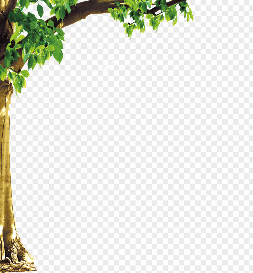 Trees Border PNG border clipart PNG