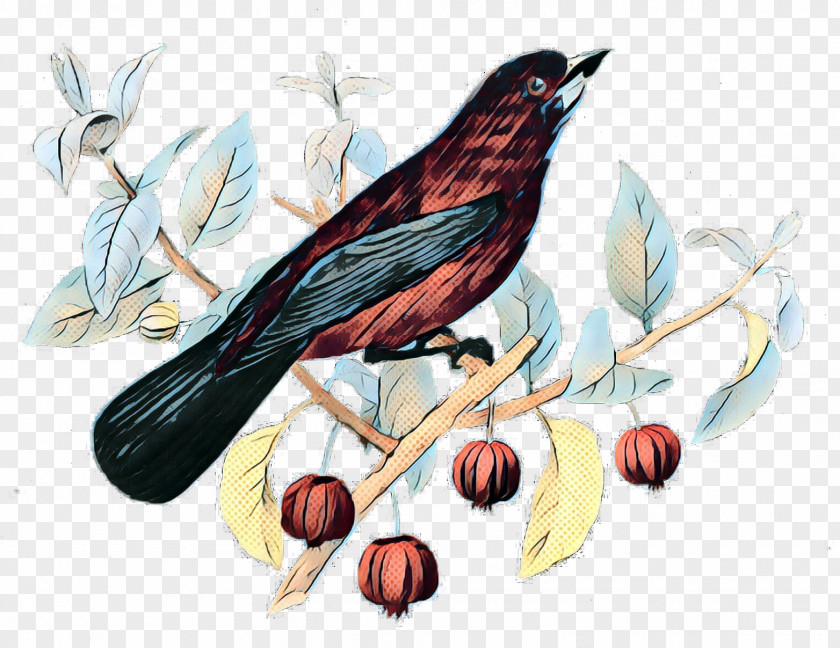 Twig House Sparrow Cardinal Bird PNG