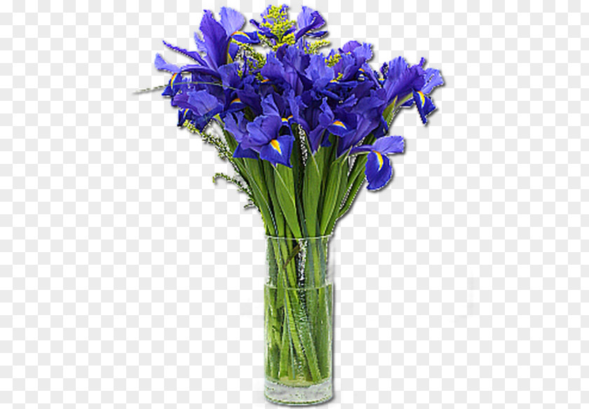 Vase Irises Flower Delivery Floristry PNG
