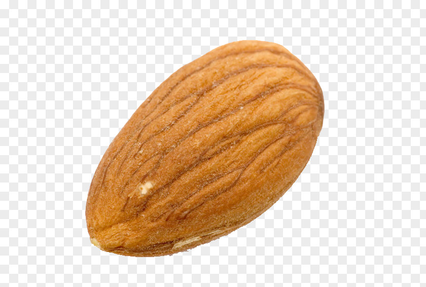 An Almond Medicine Milk Nut Meal PNG