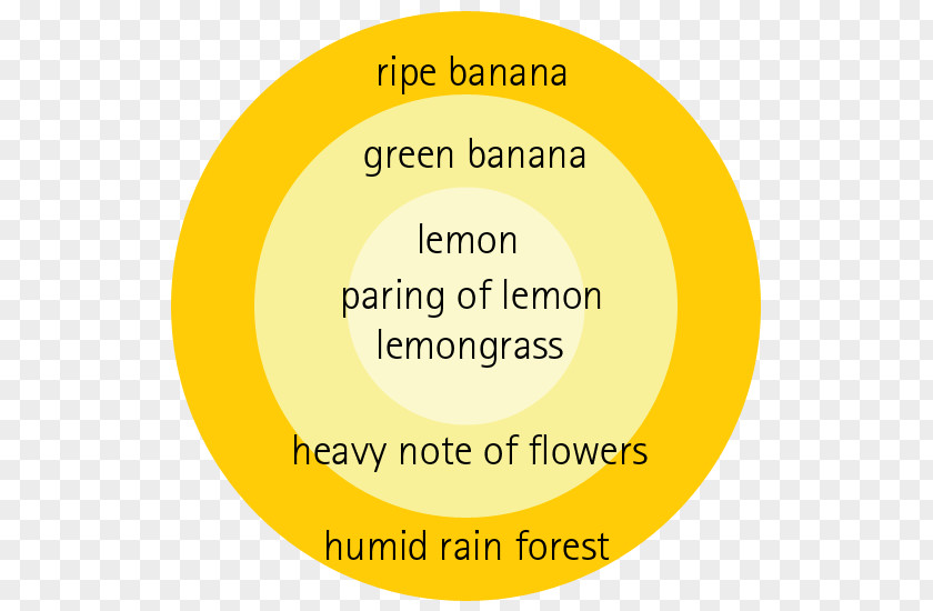 Australian Rainforest Banana Tree Logo Font Organization Brand Happiness PNG