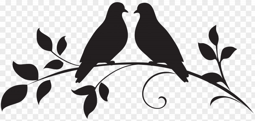 Love Doves Silhouette Clip Art Bird Drawing Illustration PNG