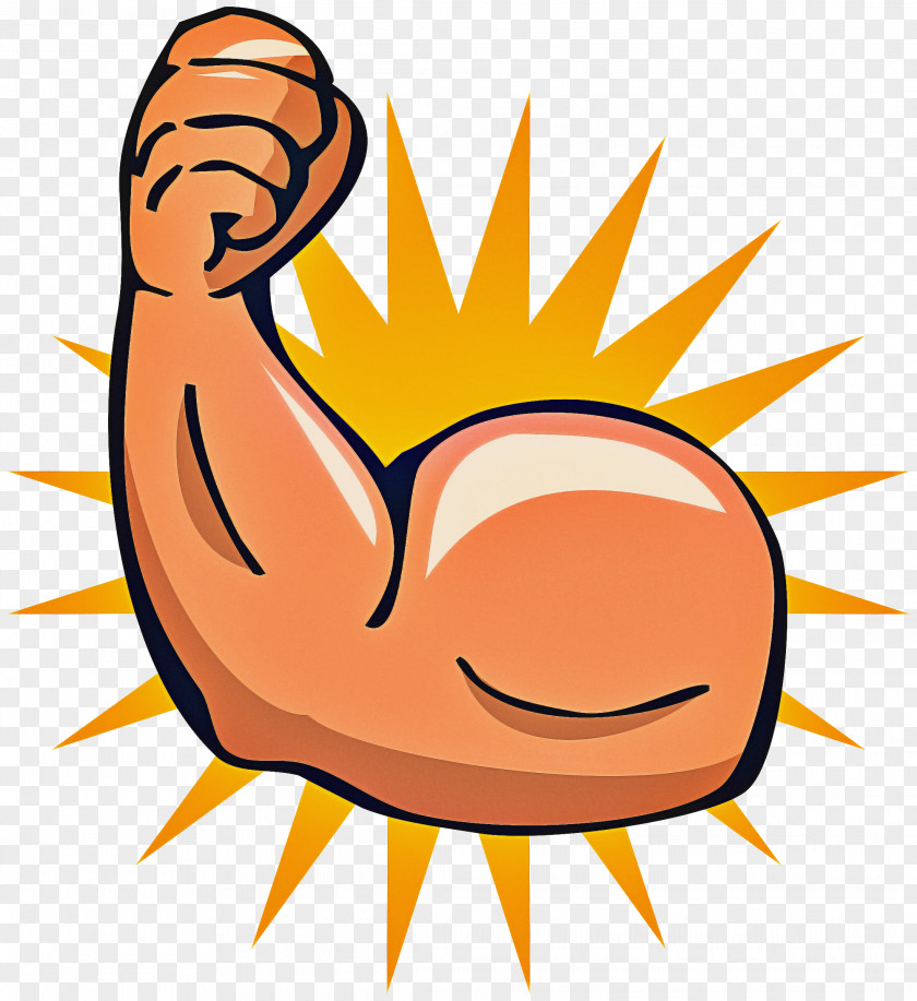 Muscle Biceps Arm Cartoon PNG
