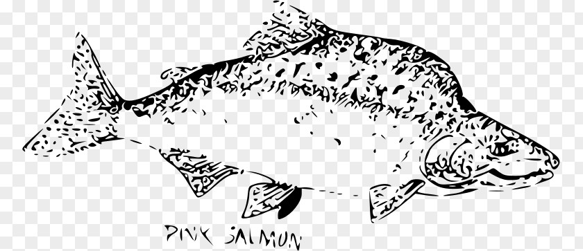 Smoked Salmon Pink Chum Coho PNG