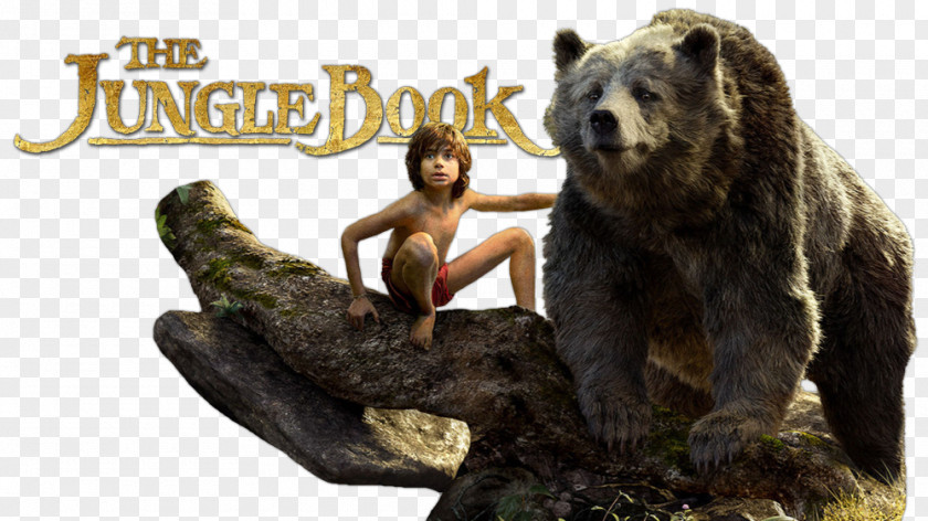 The Jungle Book File Second King Louie Mowgli Film Computer-generated Imagery PNG