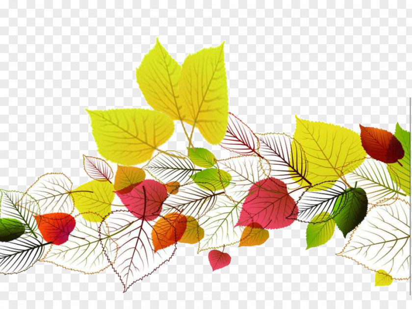 Autumn Leaves PPT Templates Leaf Color Euclidean Vector PNG