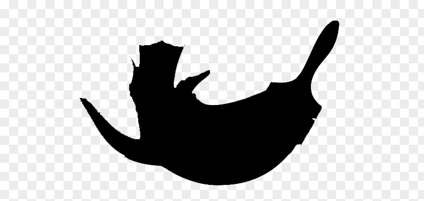 Black Cat Plant Silhouette PNG