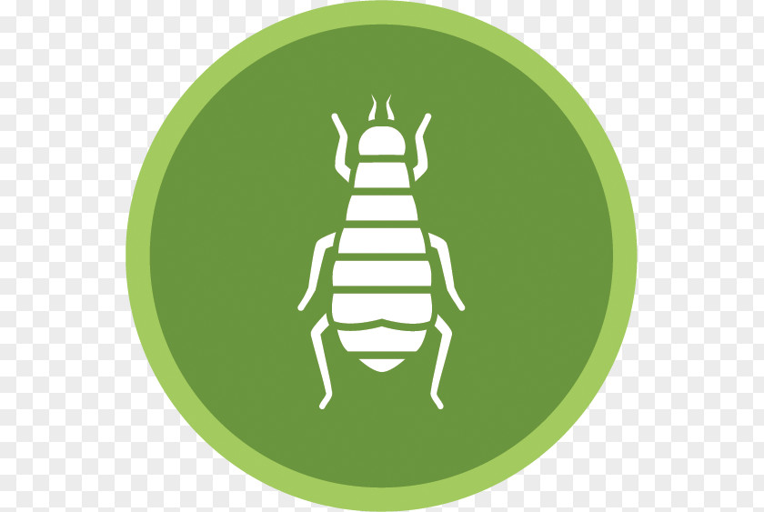 Flea Cockroach Ant Mosquito Woodland-Davis Termite & Pest Control, Inc. PNG