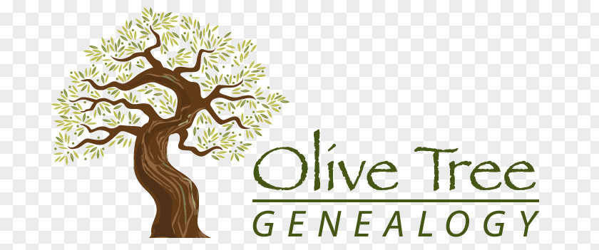 Olive Tree Of Vouves Branch Root PNG