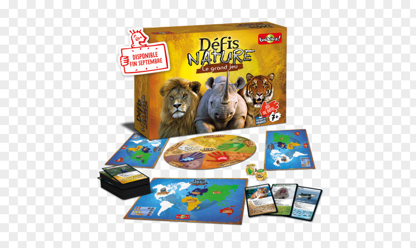 Pions Bioviva Défis Nature Le Grand Jeu Board Game Toy PNG