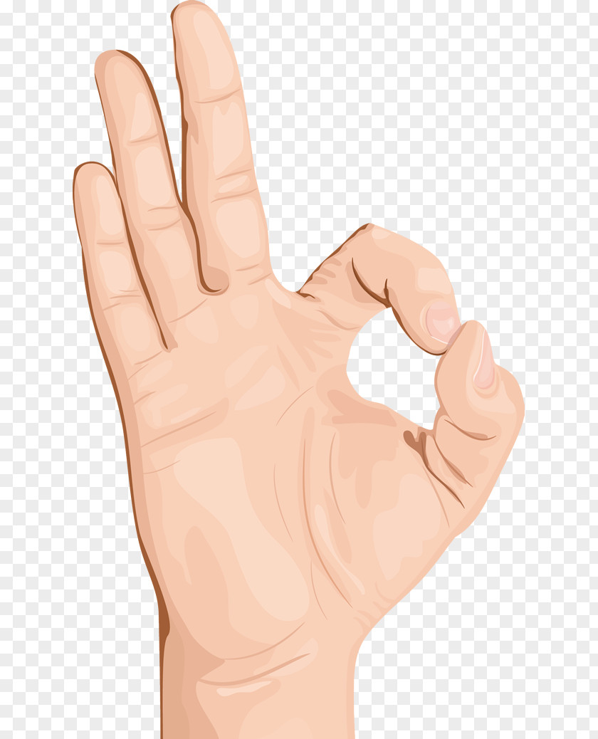 Hand Gesture OK Thumb PNG